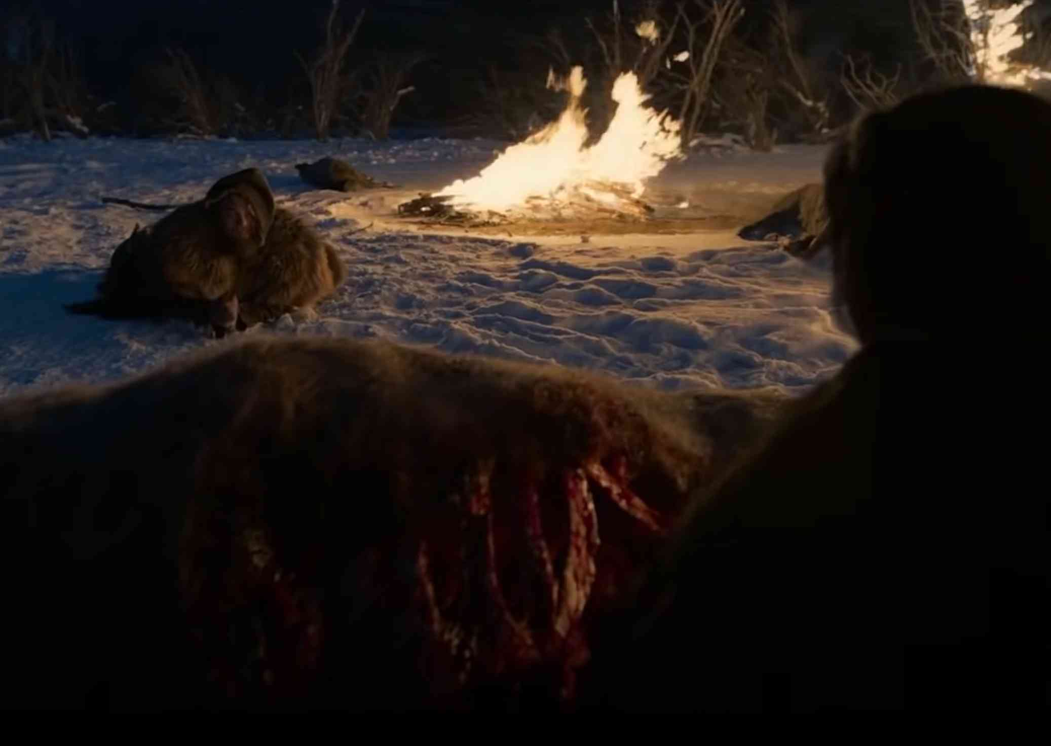 Eating Raw Bison Liver? Nutritional Necessity or Movie Drama?