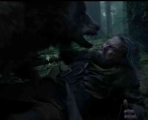 The Bear Attack: Could You Survive It?