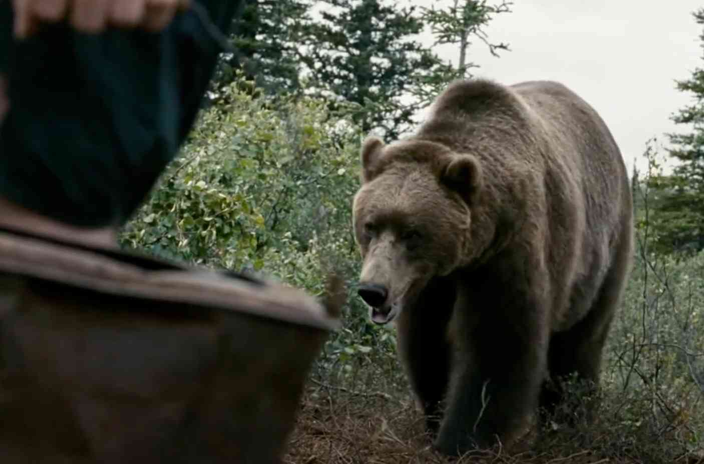 How to Apply These Lessons